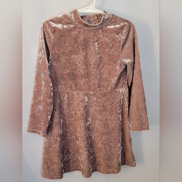 Cat & Jack Other - Cat & Jack Velvet Dress Size 4T